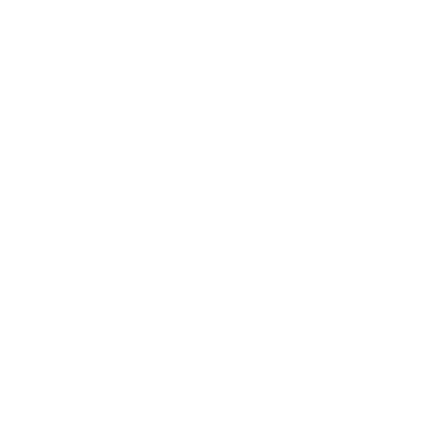 circle-bridge-icon