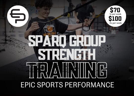 SPARZ Group Basketball Training for Youth at The Bridge Sportsplex in Edwardsville IL